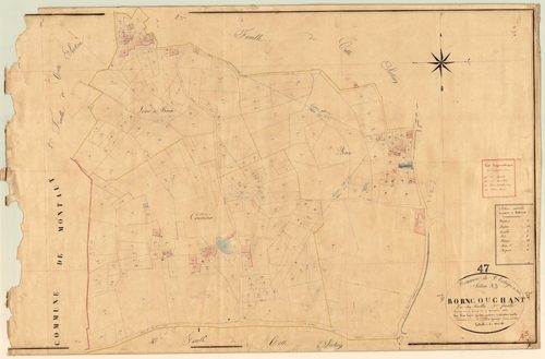 Plan napoléonien, feuille préparatoire-A3 Born couchant, Saint-Eutrope-de-Born