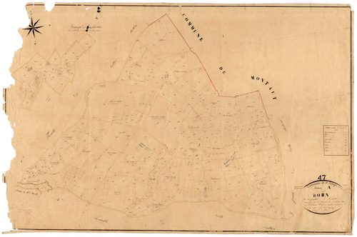 Plan napoléonien, feuille préparatoire-A5 Born couchant, Saint-Eutrope-de-Born