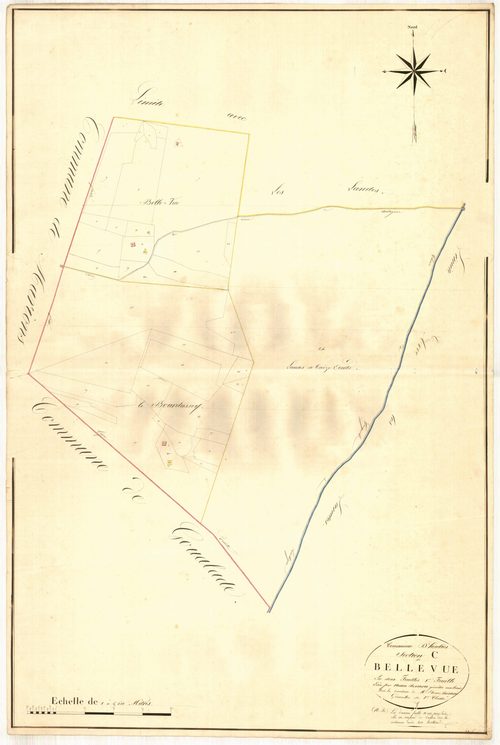 Plan napoléonien, atlas-C1 Bellevue, Heuliès (voir Saint-Martin-Curton)