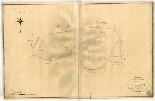 Plan napoléonien-F1 Pellatat, Saint-Maurin