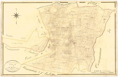 Plan napoléonien, atlas-C2 Les Bois, Saint-Pierre-de-Buzet