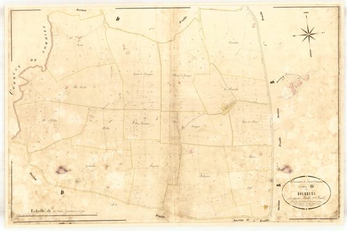 Plan napoléonien-D2 Bourruts, Saint-Vincent-de-Lamontjoie