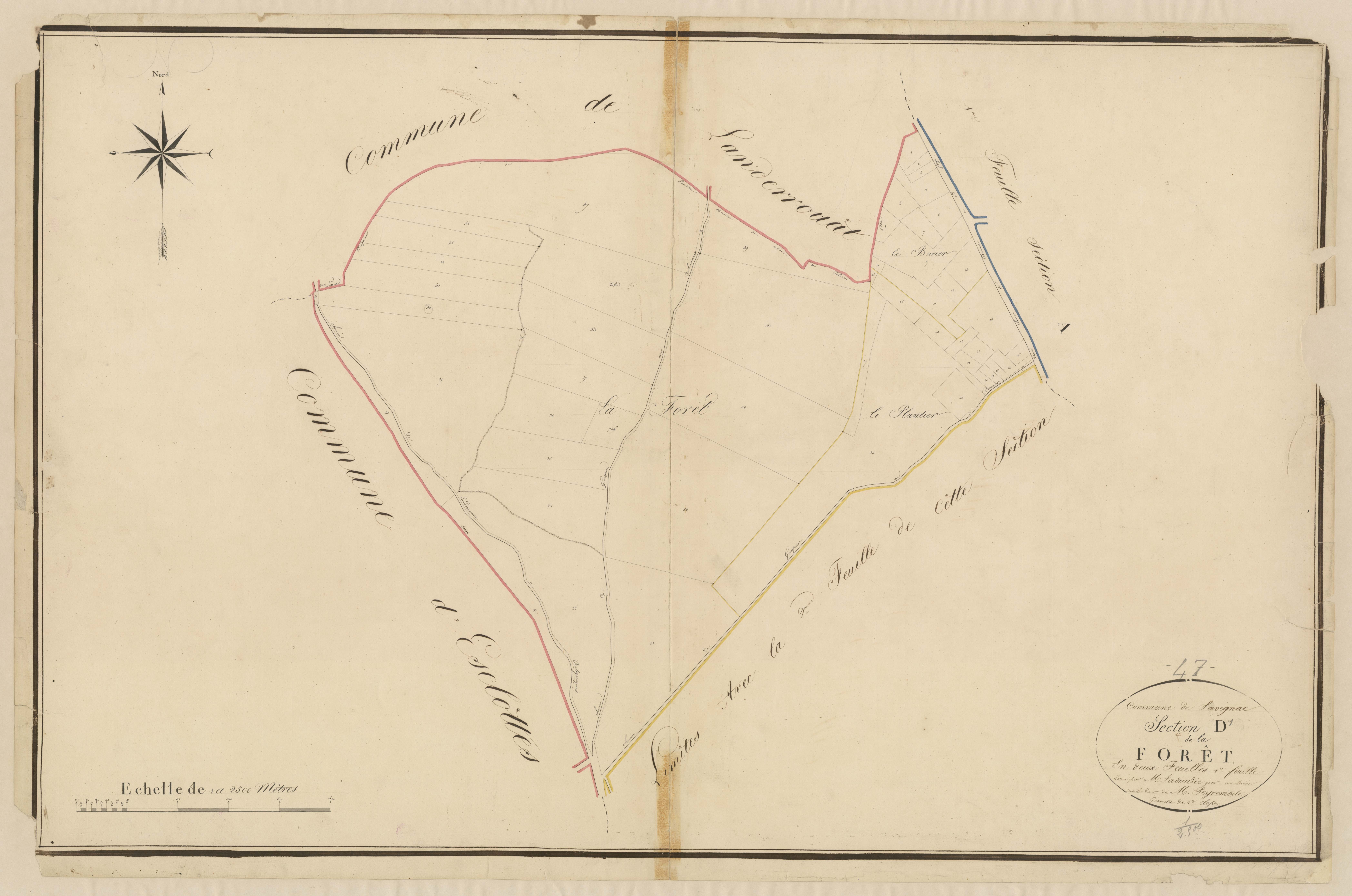 Plan napoléonien, atlas-D1 La Forêt, Savignac-de-Duras