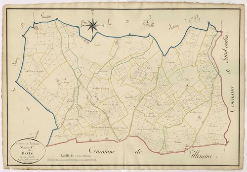 Plan napoléonien, atlas-C Bois, Savignac-sur-Leyze