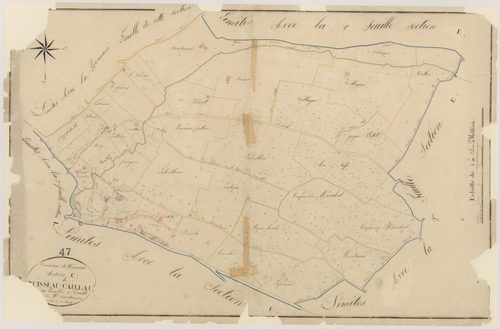 Plan napoléonien, atlas-C2 Ruisseau-Caillau, Tonneins