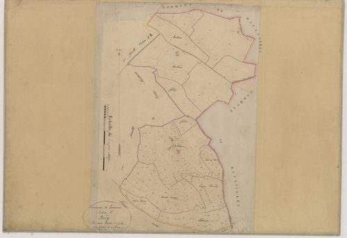 Plan napoléonien-C1 Le Bosq, Tournon-d’Agenais
