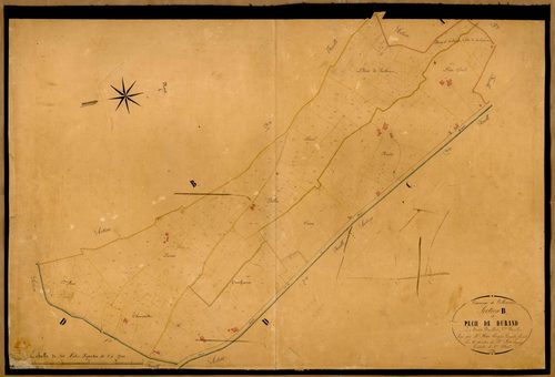 Plan napoléonien-B Pech Duran, Villeneuve-sur-Lot