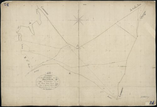 Estables