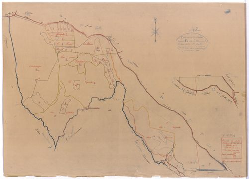 Salces