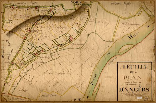 Angers D 5 de l’Ouest