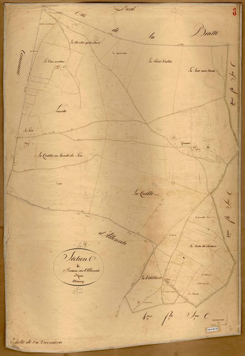 Brain-sur-Allonnes C 3
