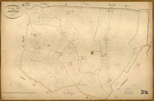 Brion F 2 de la Mottais