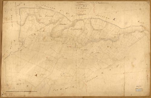 Chalonnes-sur-Loire D 1 de La Triballerie