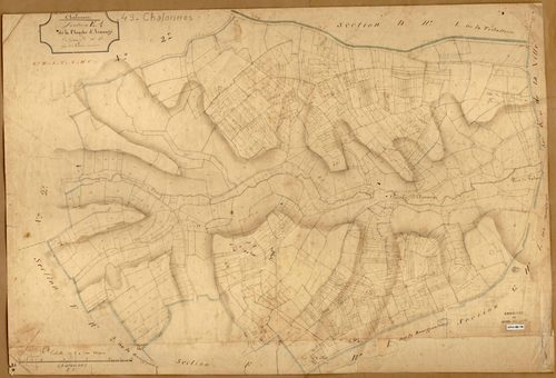 Chalonnes-sur-Loire E 1 de La Planche Armangé