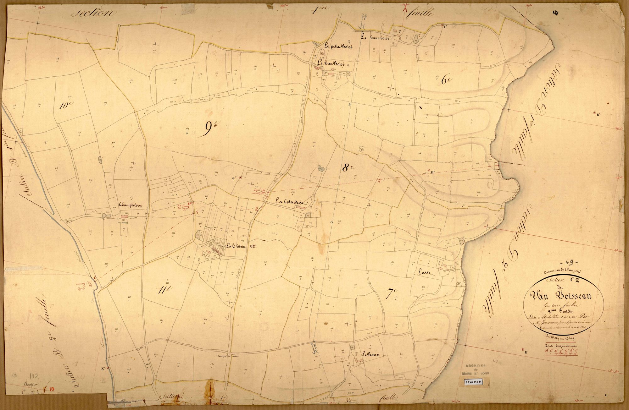 Champtocé-sur-Loire C 2 du Vau Boisseau