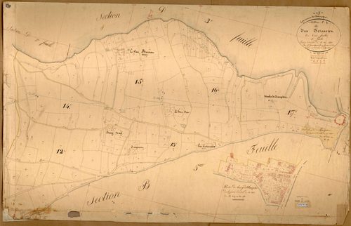 Champtocé-sur-Loire C 3 du Vau Boisseau