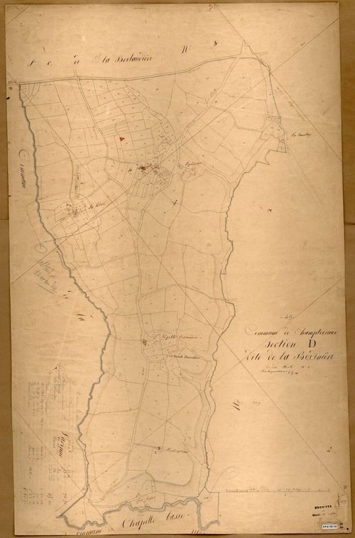 Champtoceaux D 1 de la Bodinière
