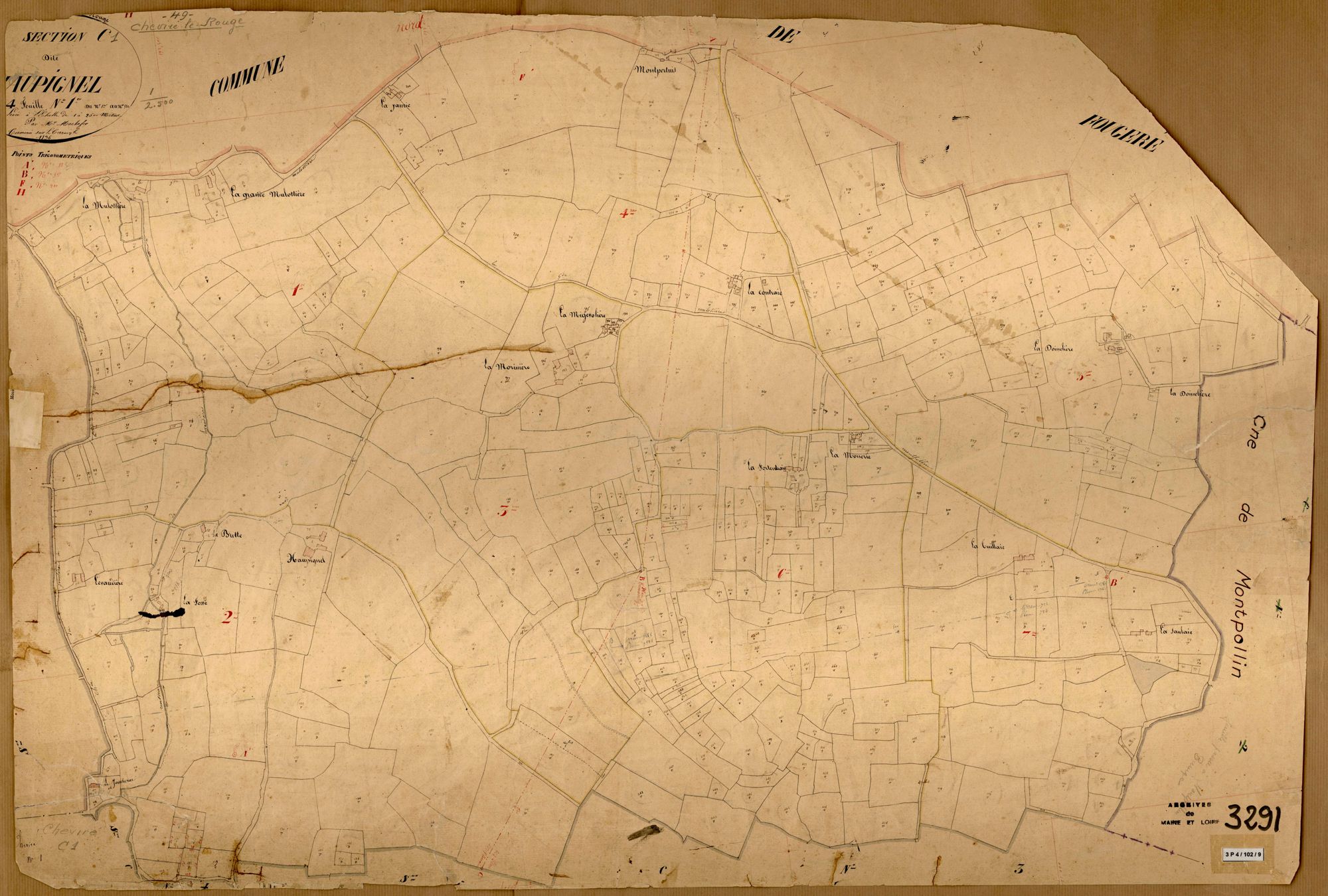 Cheviré-le-Rouge C 1 de Haupignel