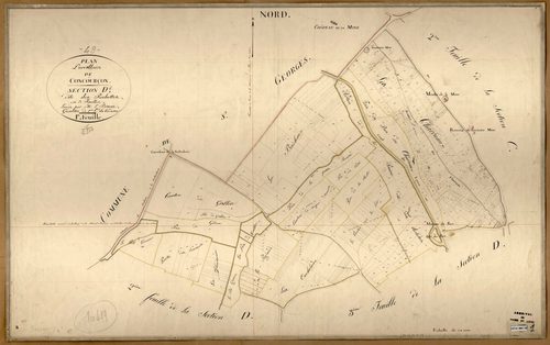 Concourson-sur-Layon D 1 des Rochettes
