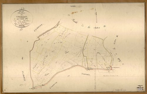 Concourson-sur-Layon D 2 des Rochettes
