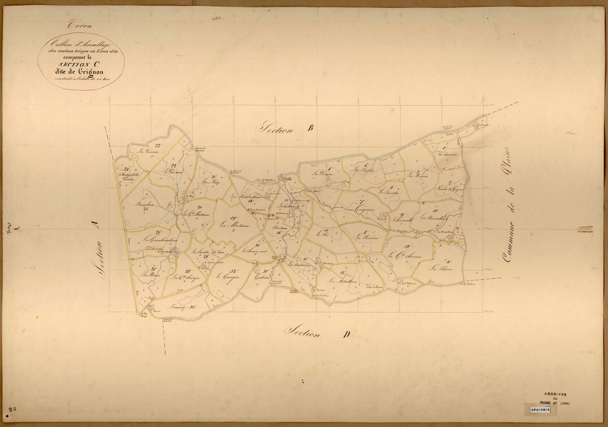 Coron TA. (sect.C) de Grignon