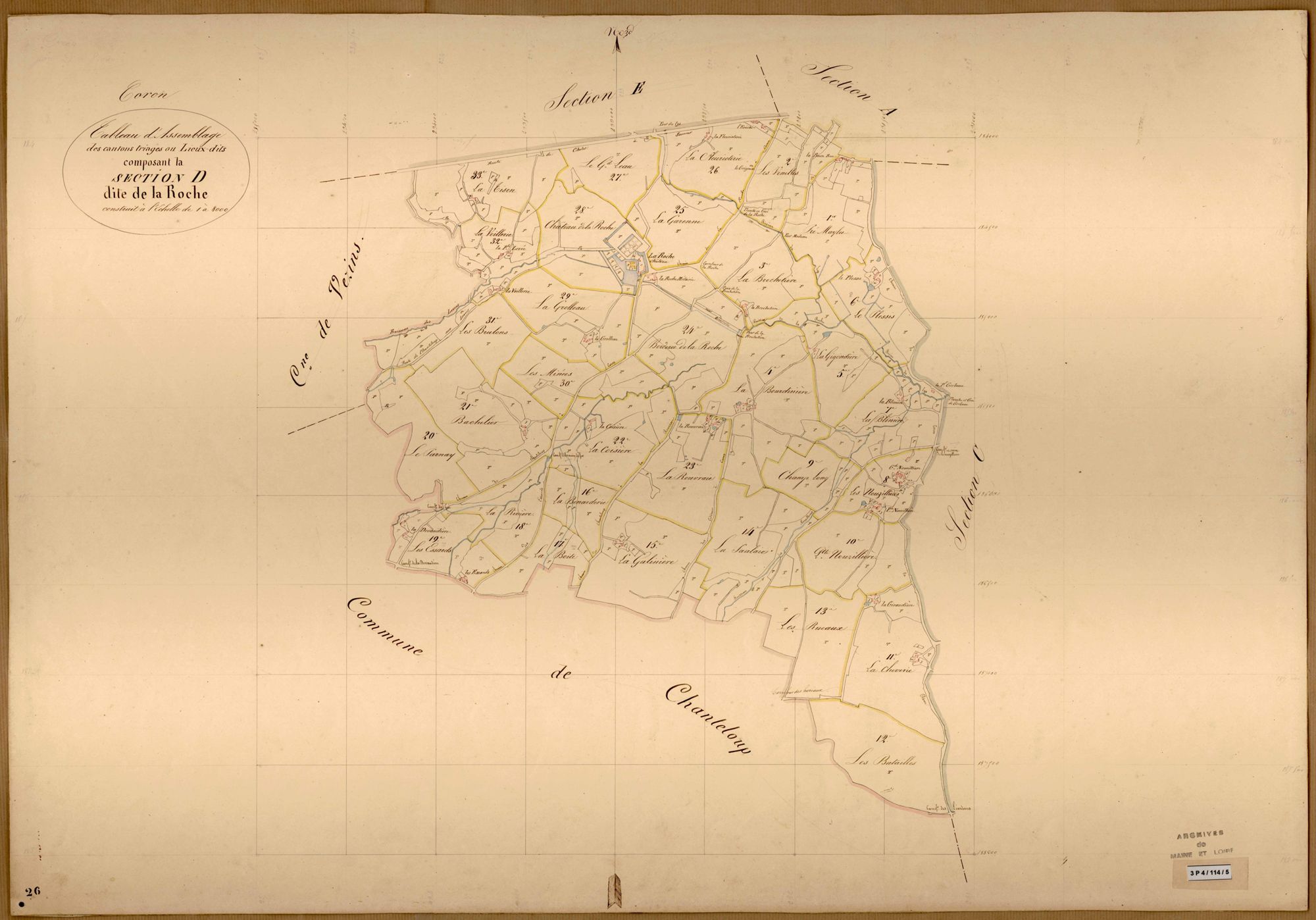 Coron TA. (sect.D) de la Roche