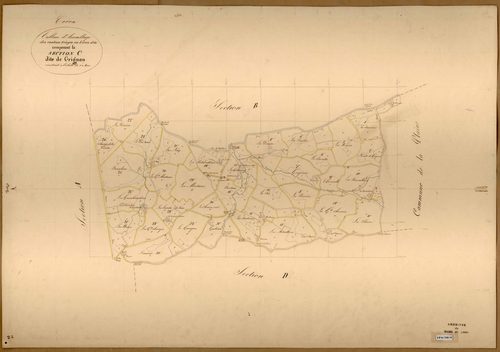 Coron TA. (sect.C) de Grignon