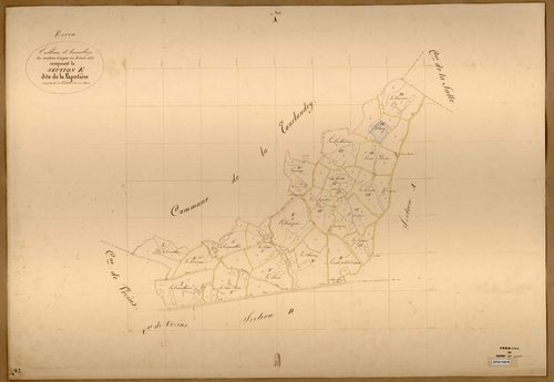 Coron TA. (sect.E) de la Papotière