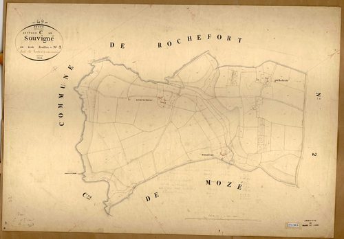 Denée C 3 de Souvigné