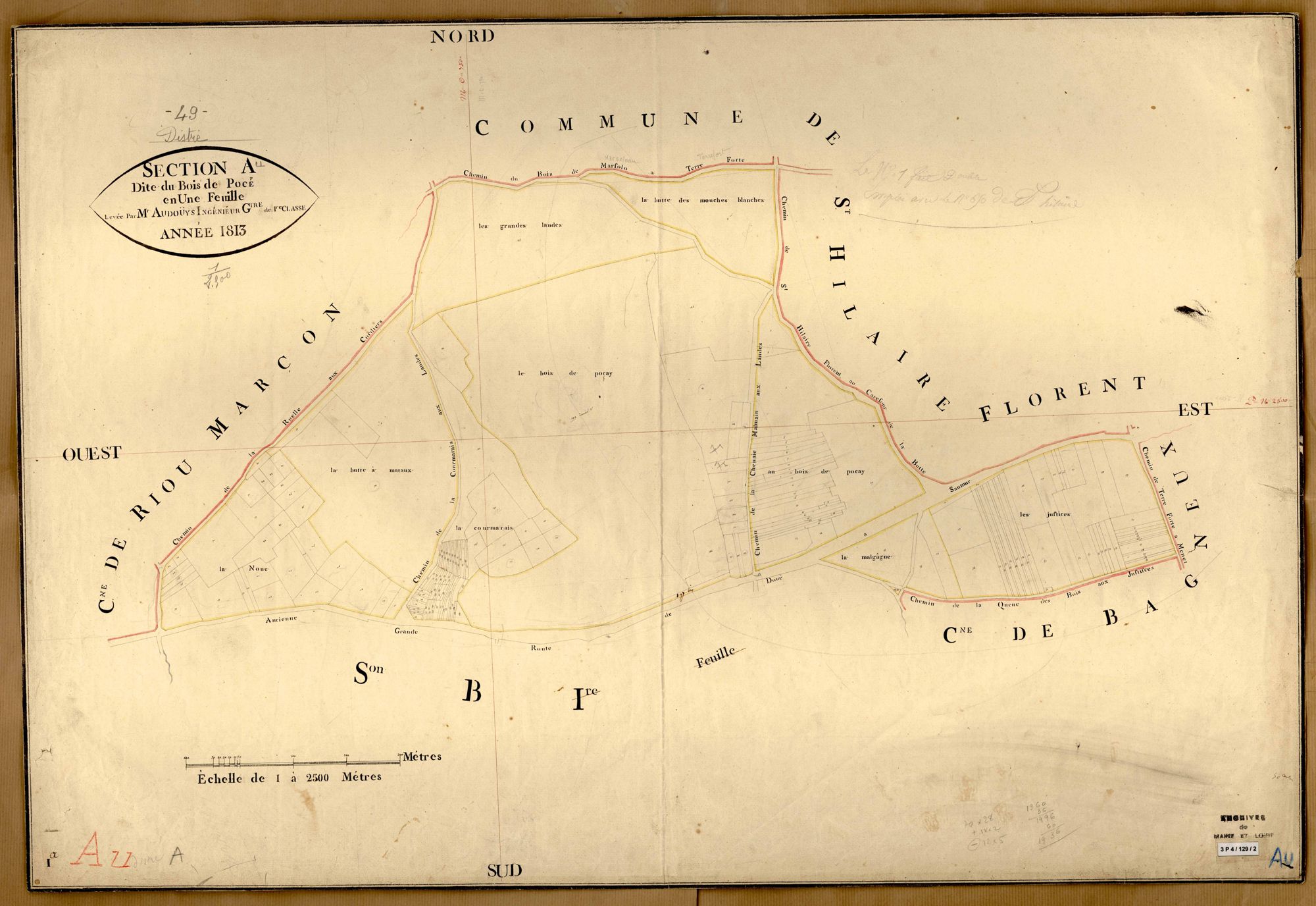 Distré A (unique) du Bois de Pocé
