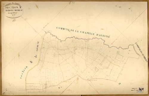 Durtal A 2 de Bois Moreau