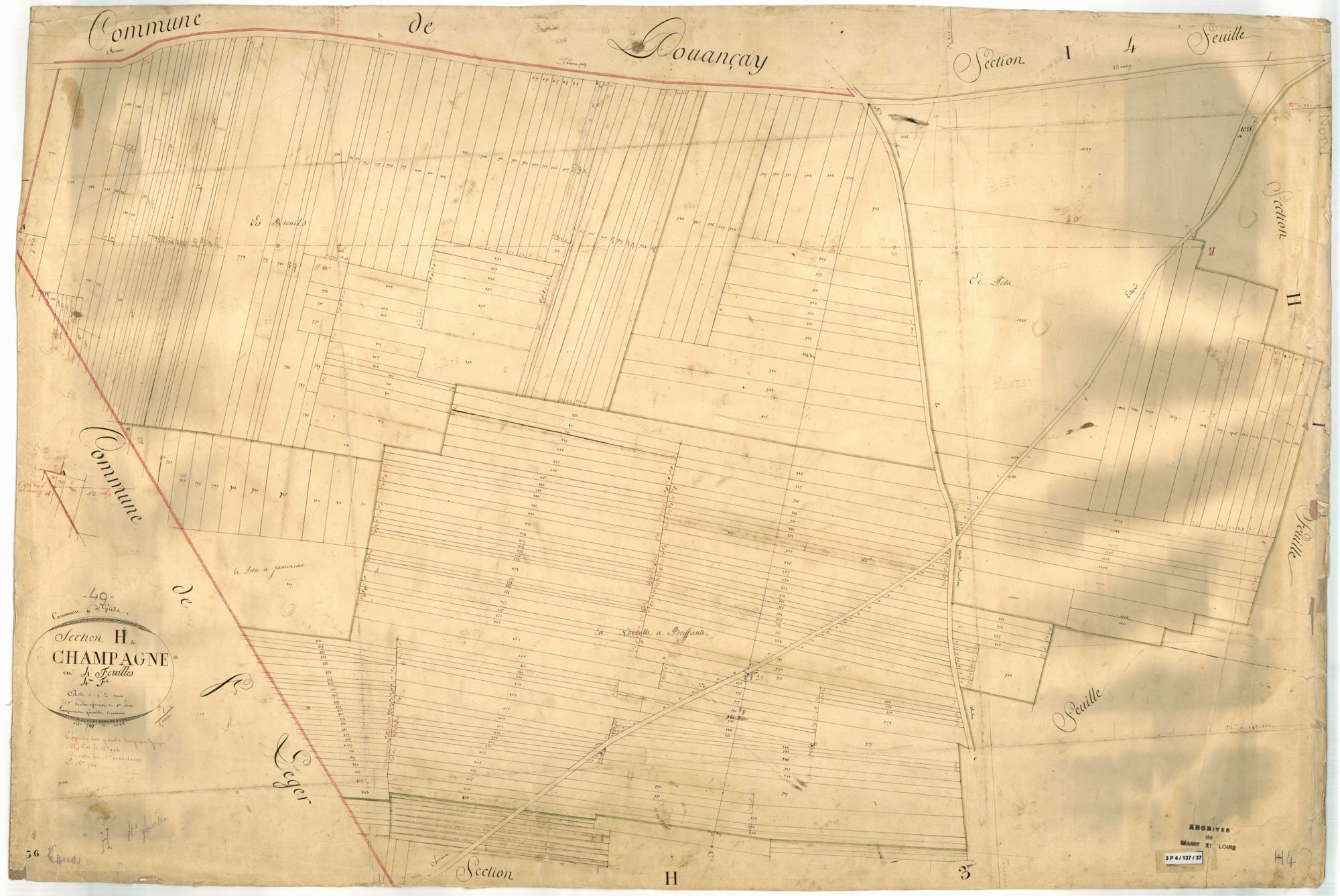 Épieds H 4 de la Champagne