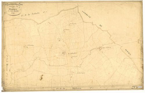 Feneu A 1 de Morioux