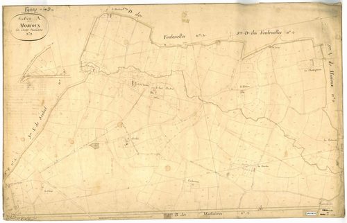 Feneu A 2 de Morioux