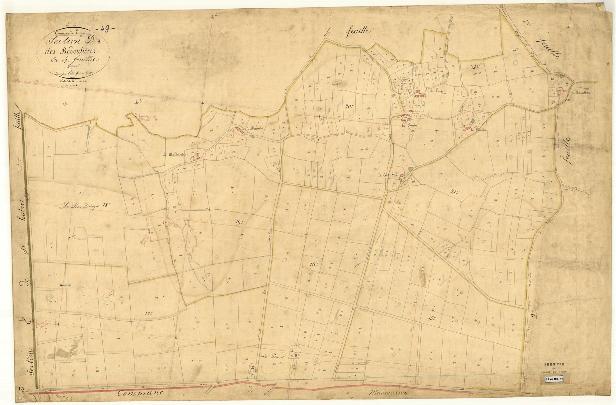 Freigné D 3 des Bédoutières