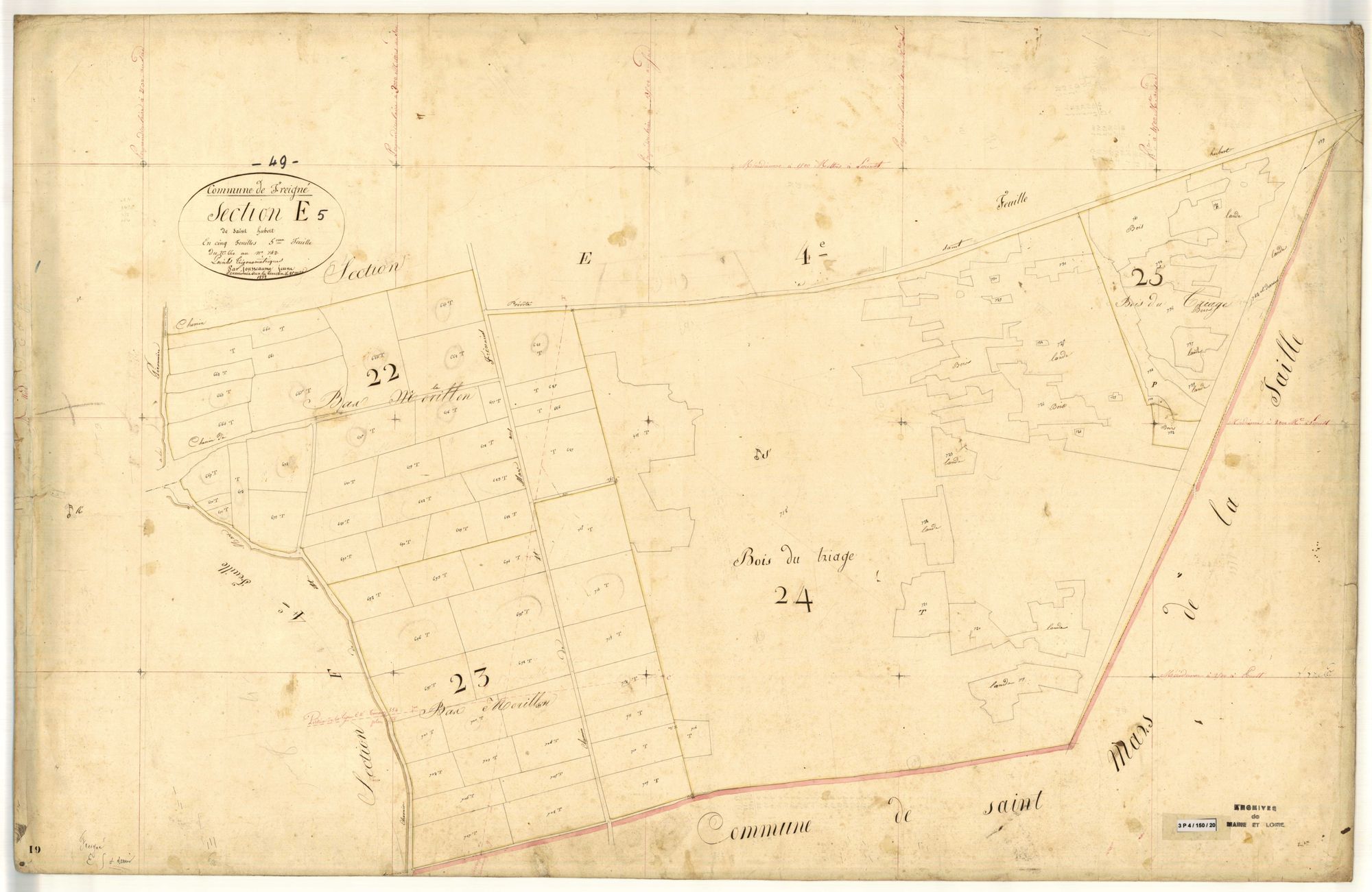 Freigné E 5 de Saint-Hubert