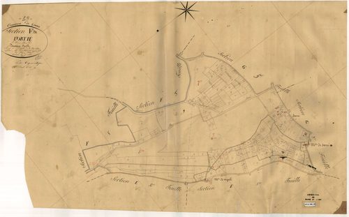 Gennes F 2 de l’Ortie