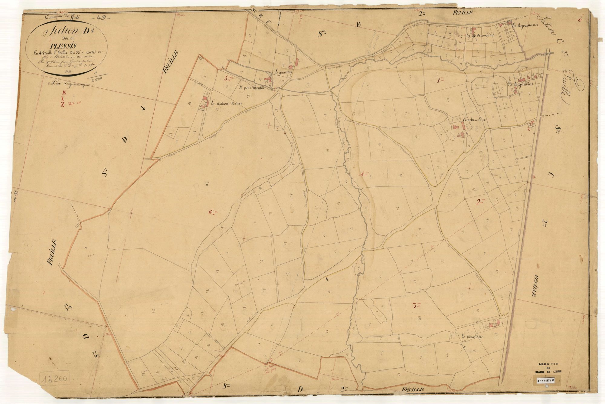 Gesté D 1 du Plessis