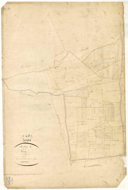 Luigné C 2 du Bourg