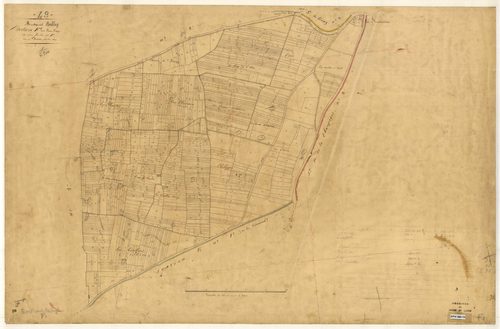 Montreuil-Bellay F 1 des Bois Pays