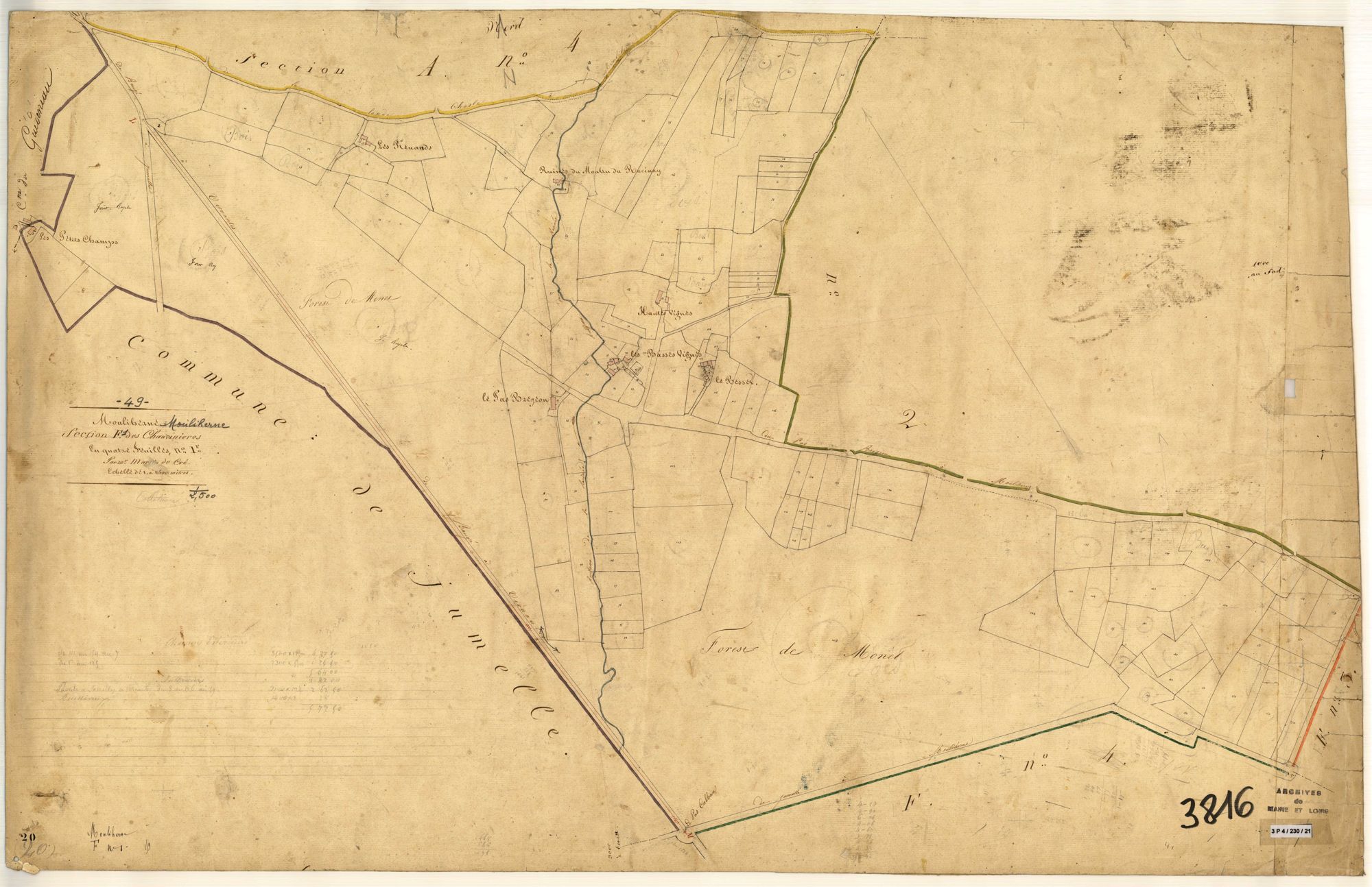 Mouliherne F 1 des Chauvinières