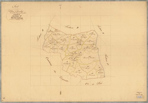 Nueil-sur-Layon T.A (sect C) des Coudrays