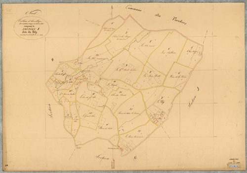 Nueil-sur-Layon T.A (sect I) du Paly