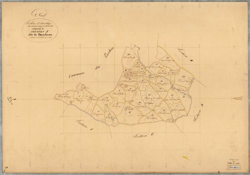 Nueil-sur-Layon T.A (sect J) du Baucheron