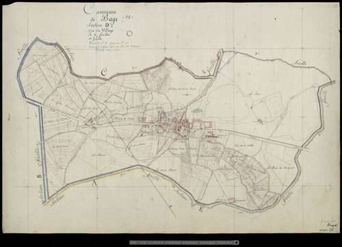 Baye. Section D1