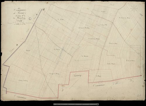 Beine. Section C1