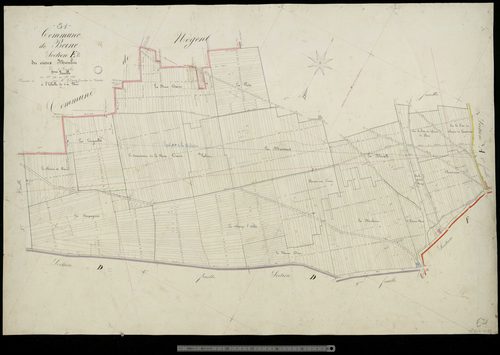 Beine. Section E2