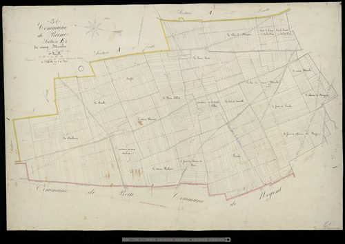 Beine. Section E1
