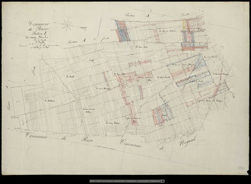 Beine. Section E1
