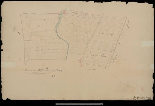 Bergères-lès-Vertus. Section D1dvt